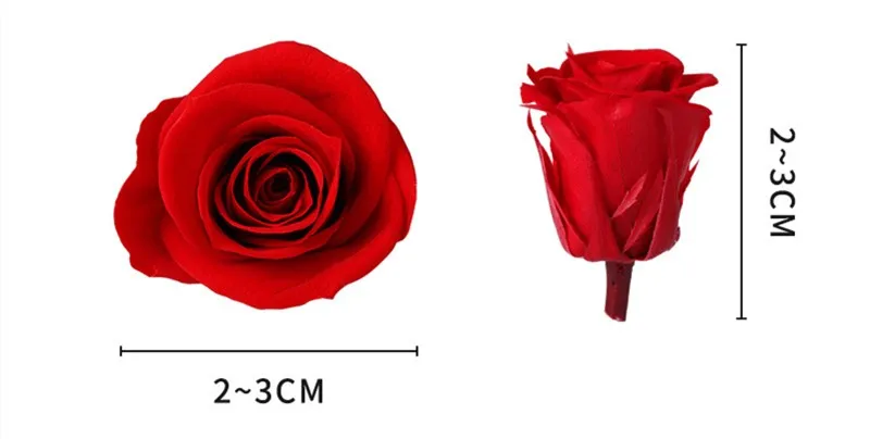 21Pcs/Box Preserved Flowers Rose Flower Immortal