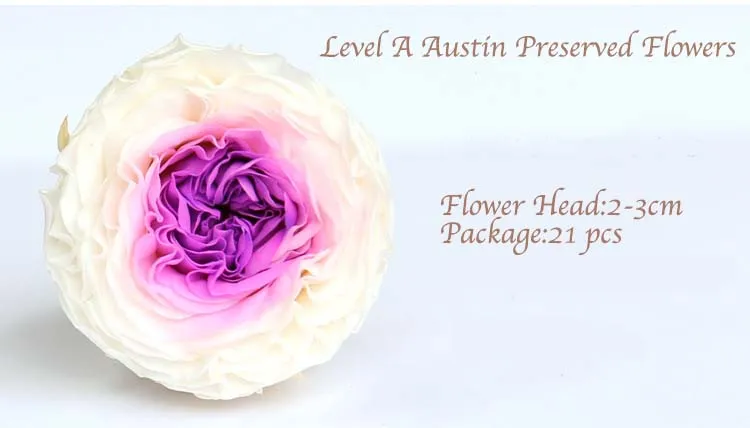 21PCS/Box Class A Preserved Austin Flowers Rose Immortal Real Flowers In Box