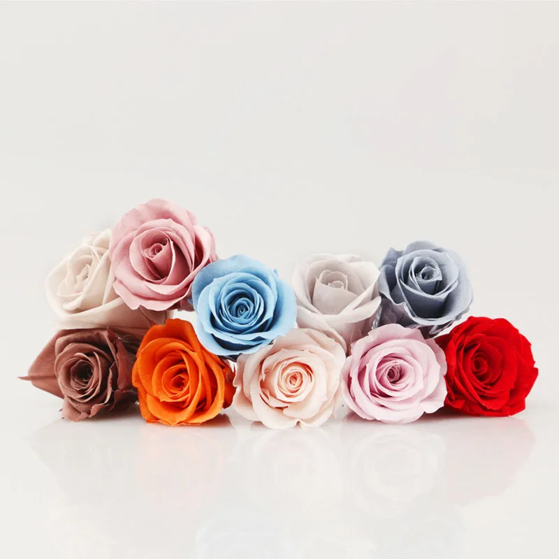 Grade A Natural Preserved Roses Heads